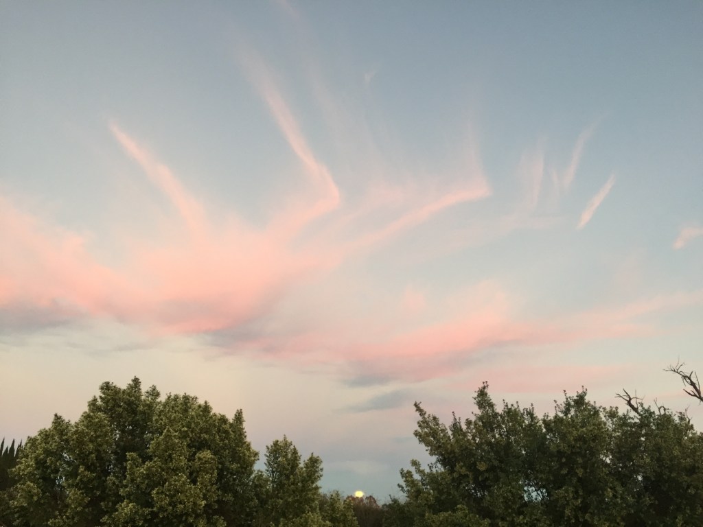 a bright moon&nbsp;rises