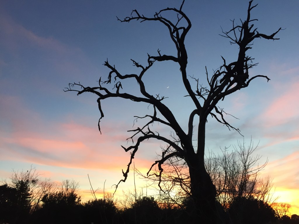 sitting with the&nbsp;snag